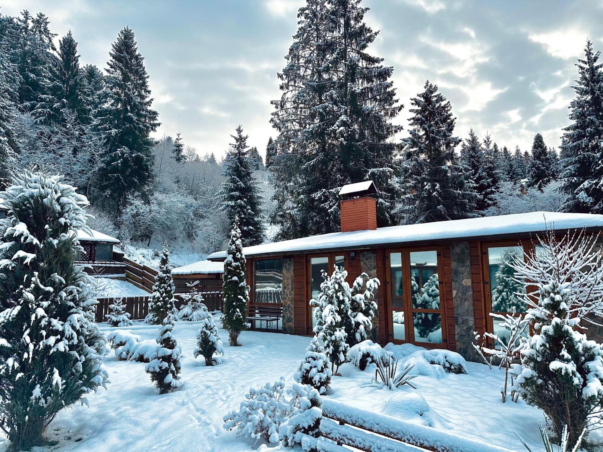 Chalet Filvarok Slavske Dış mekan fotoğraf