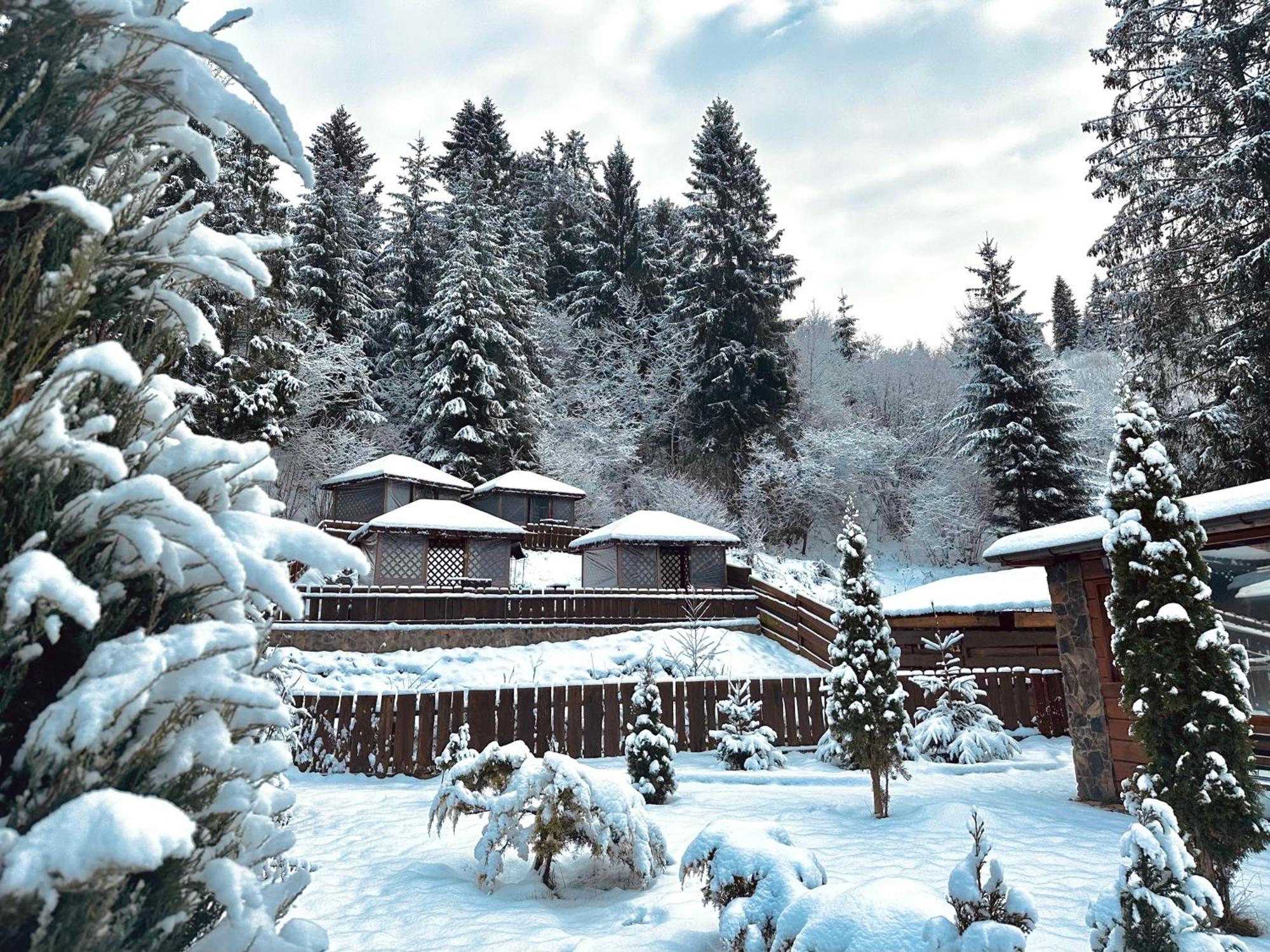 Chalet Filvarok Slavske Dış mekan fotoğraf